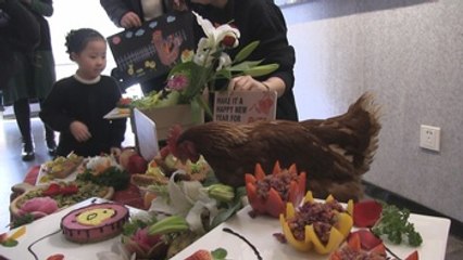 PETA aboga por el veganismo en el "Año del Gallo" en China