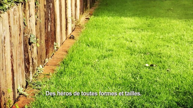 Micro Machines World Series - Trailer d'annonce [FR]