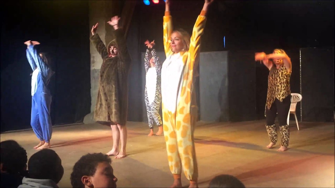 anim show
