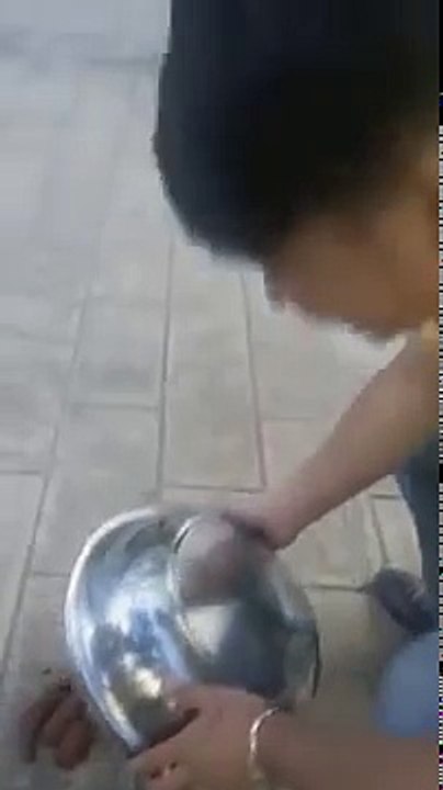 funny videos that make you laugh so hard you cry -whatsapp videos