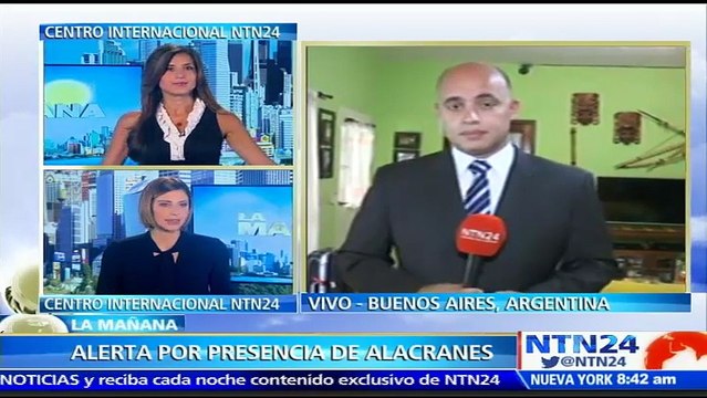 Médico explica cómo proceder al ser picado por un alacrán ante sobrepoblación de estos animales en Buenos Aires