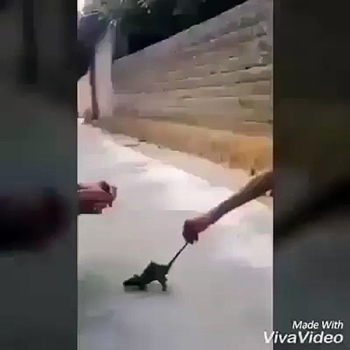 mouse on fire