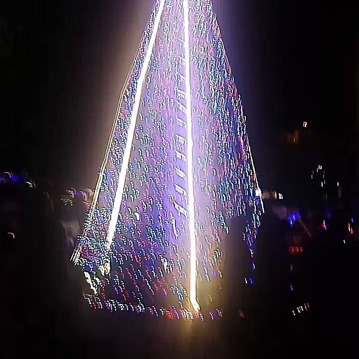 Gorgeous Christmas Tree