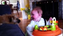 Köpekler ve Bebekler Komedi - Köpeklerle Oyun
