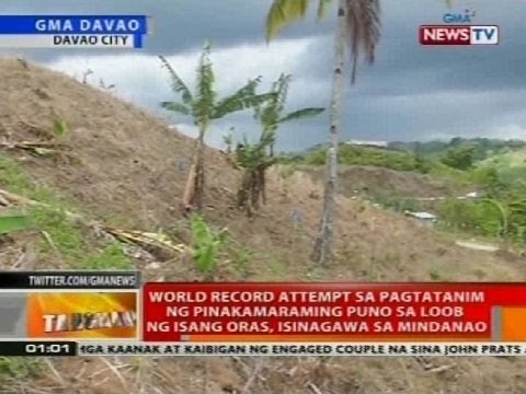 World record attempt sa pagtatanim ng pinakamaraming puno sa loob ng isang oras, isinagawa