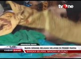 Diserang Buaya, Satu Nelayan Tewas dan Belasan Luka Parah