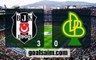 Besiktas 3-0 Darica Genclerbirligi - All Goals & Highlights HD -19.01.2017 HD
