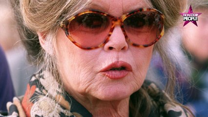 Ruquier, Ardisson....Brigitte Bardot dézingue la télévision ! (vidéo)