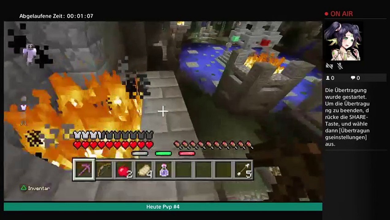 Minecraft PlayStation 4 (21)