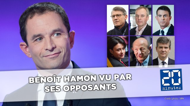 Benoît Hamon vu par ses opposants