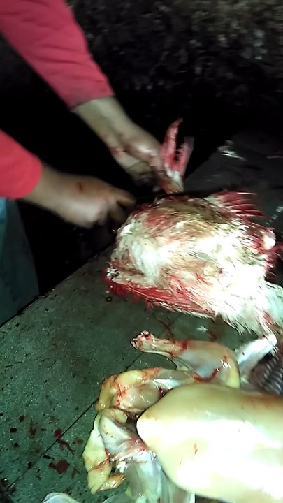 Do you know How to cut chicken in india ? If you want to see Indian style then watch this video. This is very simple