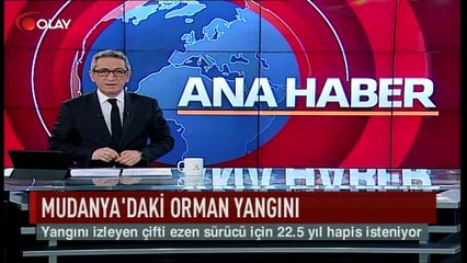 Yangın izleyen çifti ezen sürücü için 22.5 yıl (Haber 19 01 2017)