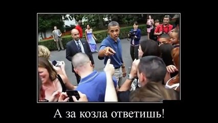 смешные фото приколы #1