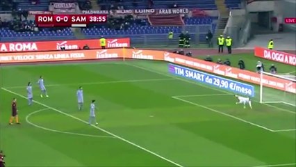 ROMA VS SAMPDORIA [HD] 1-0 GOAL Nainggolan 19_01_2017