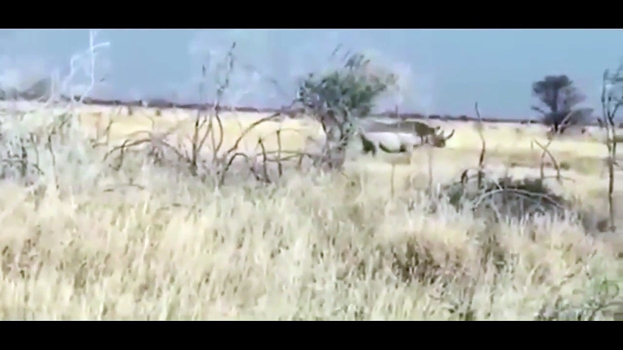 Un rhinocéros fonce dans un 4x4