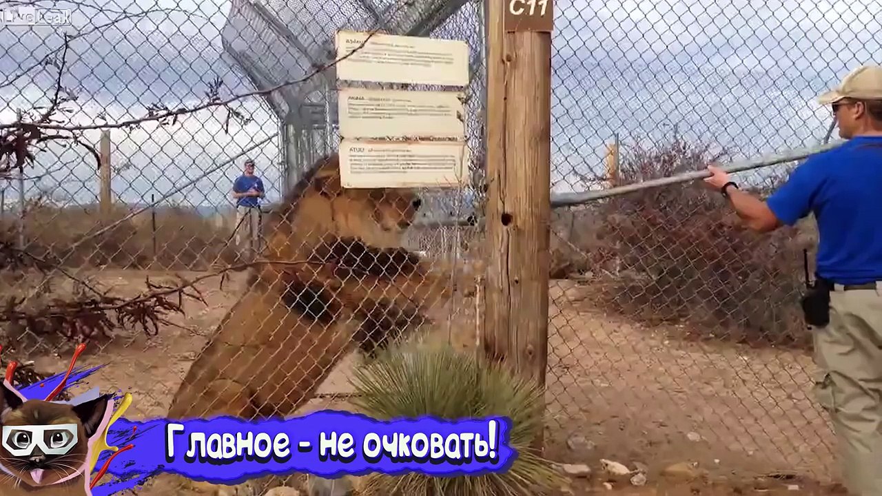 НЕ ДЕТСКИЕ ПРИКОЛЫ 2016 ЛУЧШИЕ ДЕКАБРЬ