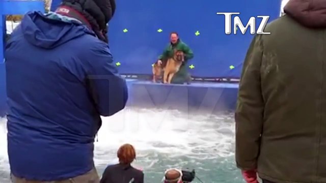 A DOG'S PURPOSE' TERRIFIED GERMAN SHEPHERD FORCED INTO TURBULENT WATER - TMZ