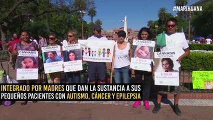 ‘Mamá cultiva’: la red de madres que cultiva cannabis por sus hijos
