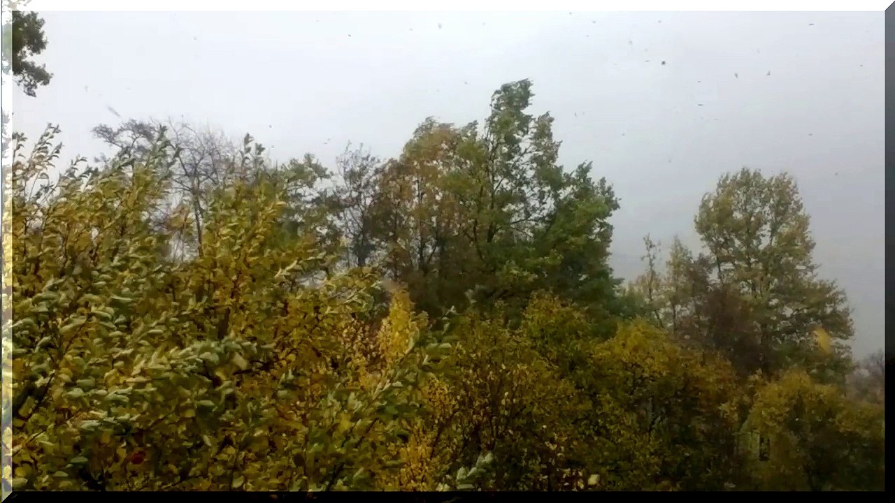 emMOJKRAJ - wind 2013