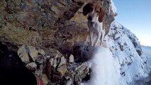 Scared Dog Stranded On Snowcapped Cliffs