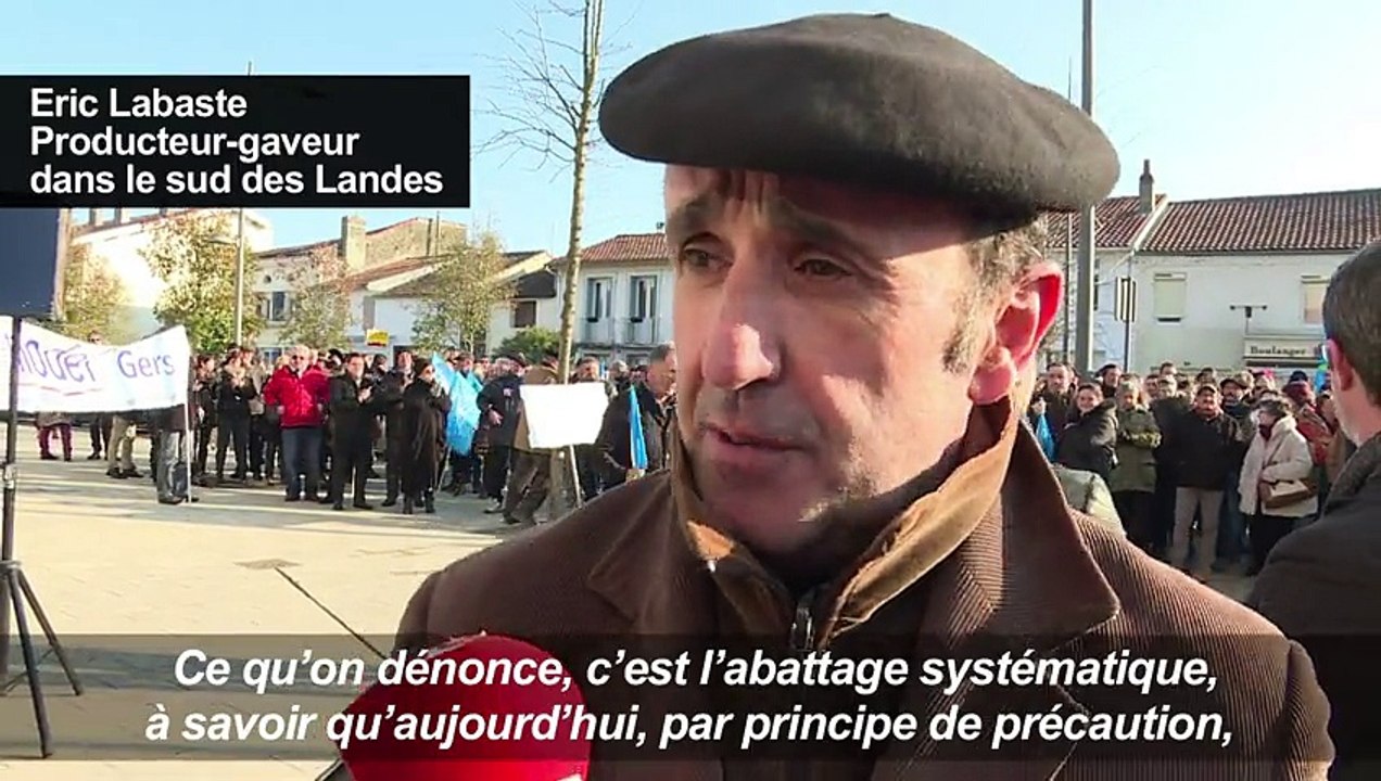 Grippe aviaire: des producteurs contre l'abattage préventif