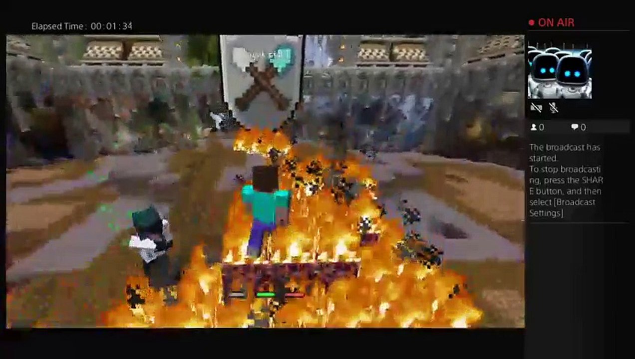Herobrine (7)