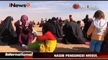 Nasib Pengungsi Mosul