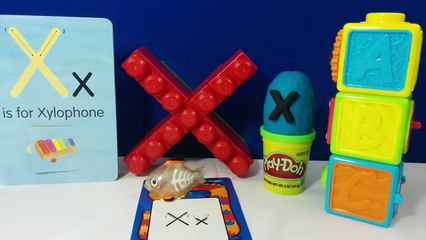 The Letter X Surprise Egg - X is for X-ray Fish