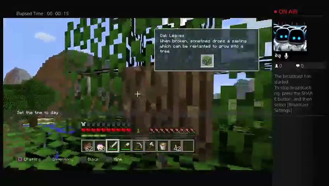 Herobrine (8)