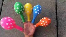 Funny Finger Family Songs for Children / Learn Colors for Baby with Balloons and Hand Finger Family