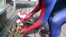 Spiderman DRAW ON FROZEN ELSA Snow White Joker Prank Hulk Batman Bad Baby Superhero in Real Life