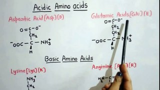 Amino acids 3