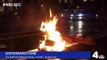 Anti-Trump protester LIGHTS himself on fire in front of Trump Hotel in DC