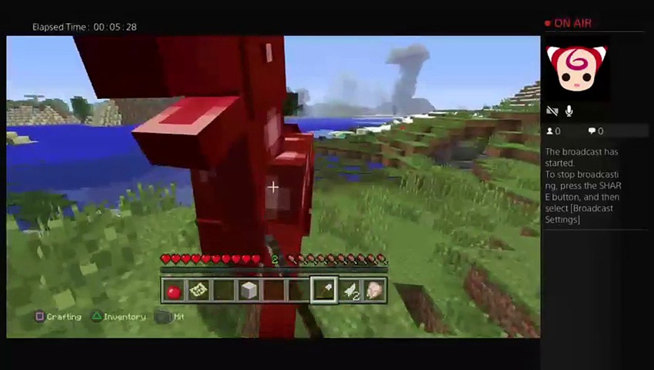 Minecraft Helpout (27)
