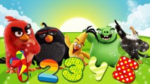 Family finger song Angry Birds for kids in English | Finger family cartoon Angry Birds