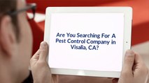 OCP Termite & Pest Control Company in Visalia