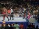 1990 WWF Wrestlemania 6 Jake Roberts vs Ted Dibiase