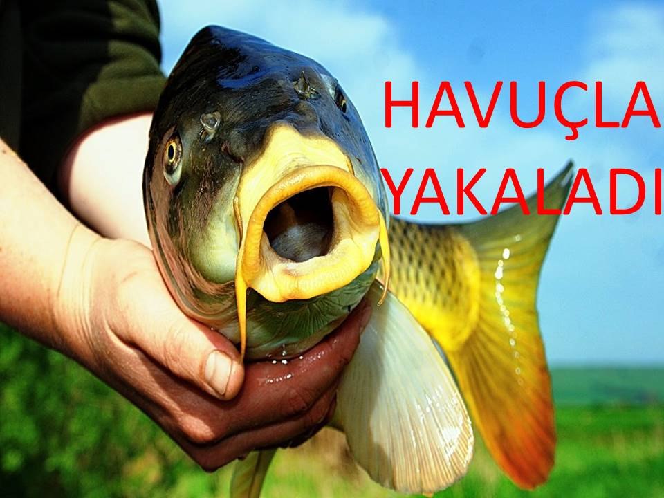 Havuçla Balık Yakaladı, Balık Avı, Balık Tutma,Balık Avı videoları
