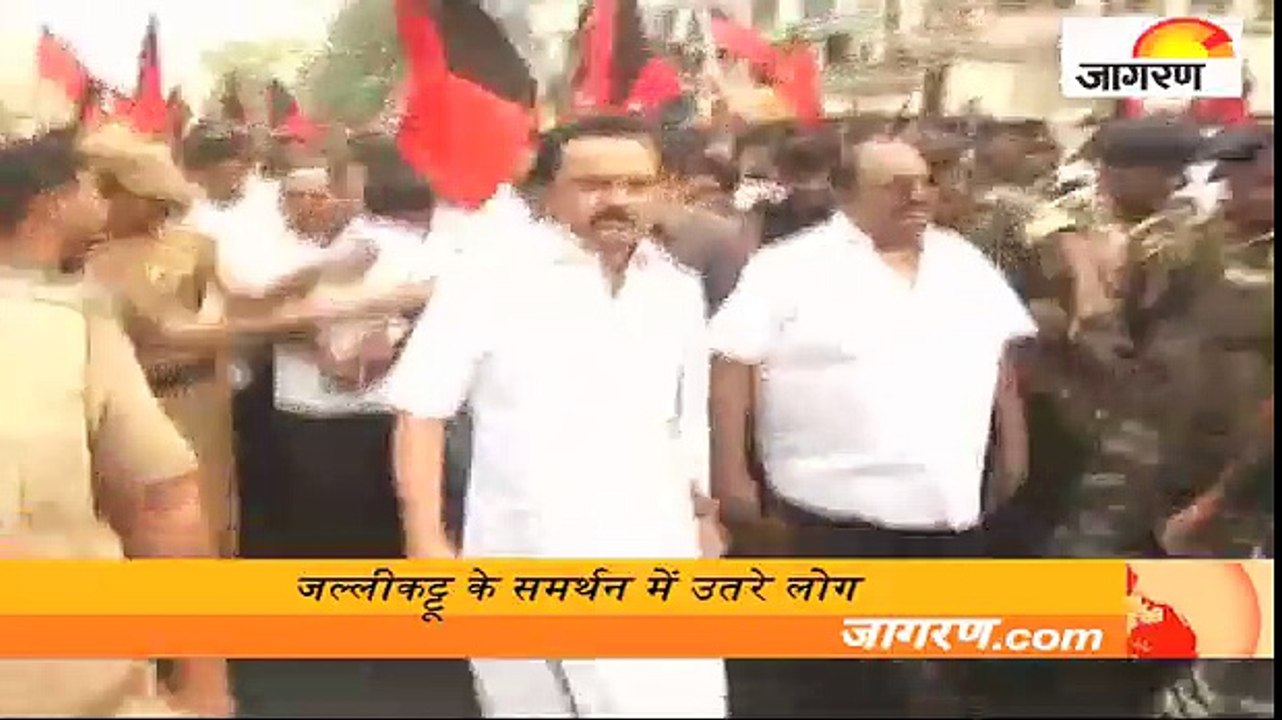 जल्लीकट्टू के समर्थन में उतरे लोग