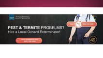 OCP Termite & Pest Control Service in Oxnard
