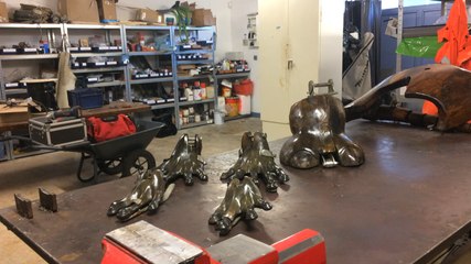 Les animaux de la place ont leurs vétos