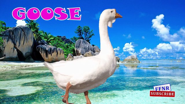 Learn Domestic animals Names for Kids & Toddlers | Cow Buffalo Hen Horse Animals learning for Kids