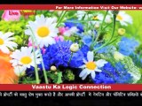 How Flowers Change Life- Use Artificial Flowers in Your Home, Vastu Tips