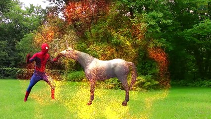 Frozen Elsas POOL DATE! w/ Spiderman Maleficent Pink Spidergirl Joker! Funny Superhero Vi