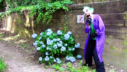 Ariel Little Mermaid loses tail w/ Catwoman, SNow white, Frozen Elsa, crying baby, rapunze