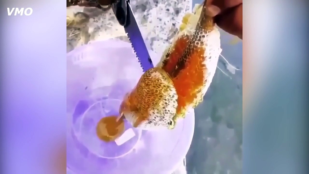 Самое Залипательное Видео (Выпуск 49)