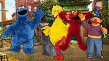 Finger Family Song SESAME STREET Nursery Rhymes Cookie Monster Big Bird Elmo Ernie Cookie Tv Video