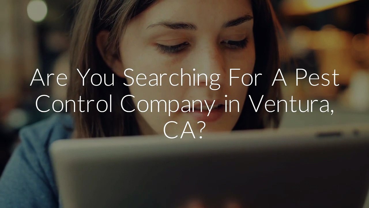 OCP Termite & Pest Control Service in Ventura, CA