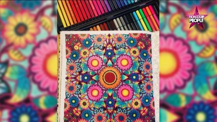 Lifestyle : Le coloriage, la nouvelle tendance à la mode ! (EXCLU VIDEO)