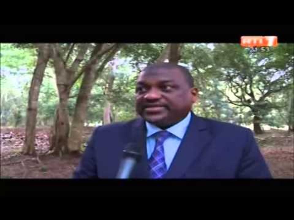 Le secteur privé de bois contribue á environ 04Milliards  de francs au produits intérieur brut